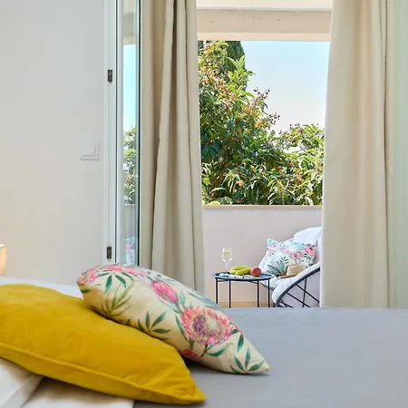 Summer Chill 1 Trsteno